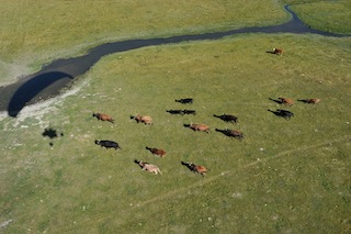 viaggio mongolia 1.jpg
